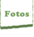 Ver secci&oacute;n Fotos